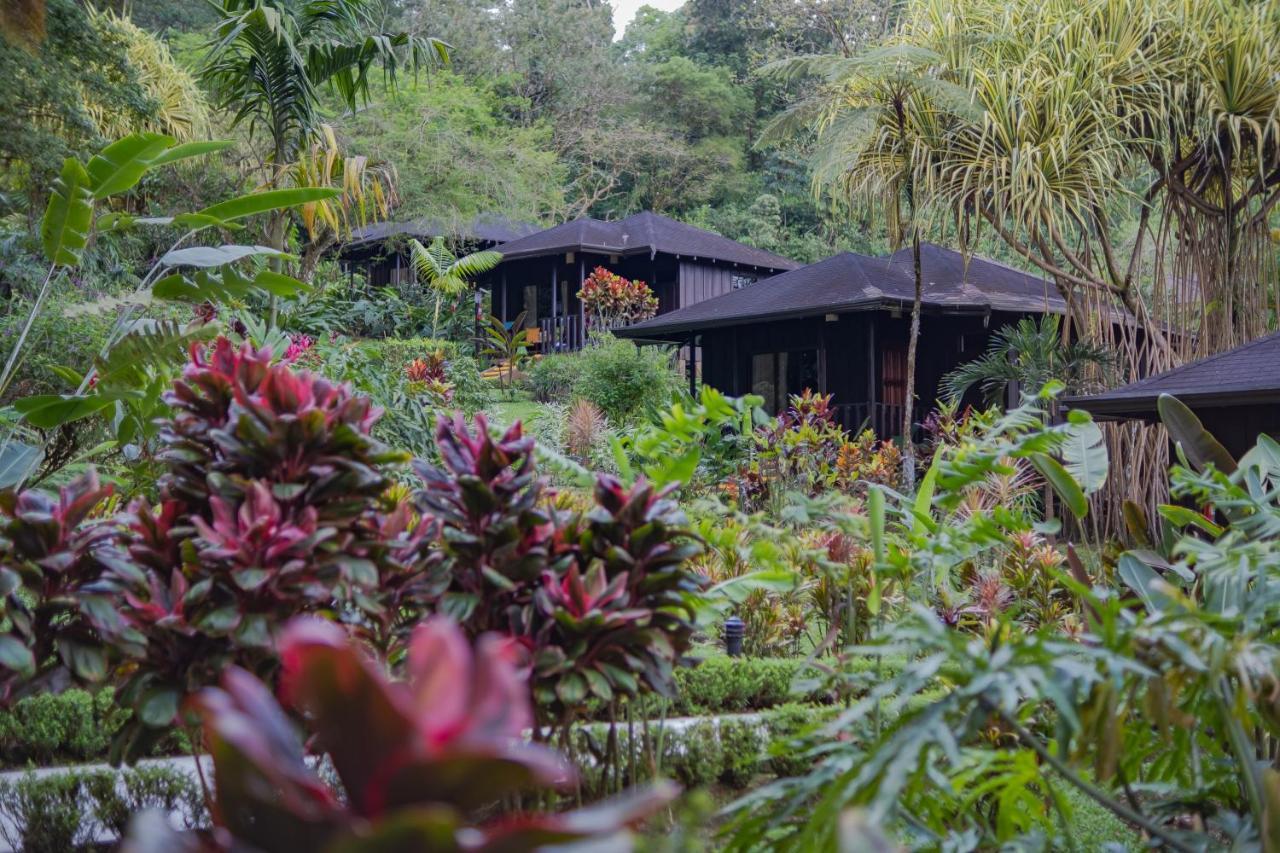 Hotel Lomas Del Volcan La Fortuna Exterior foto